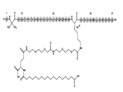 Semaglutide 索馬魯肽