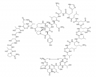 Salmon Calcitonin